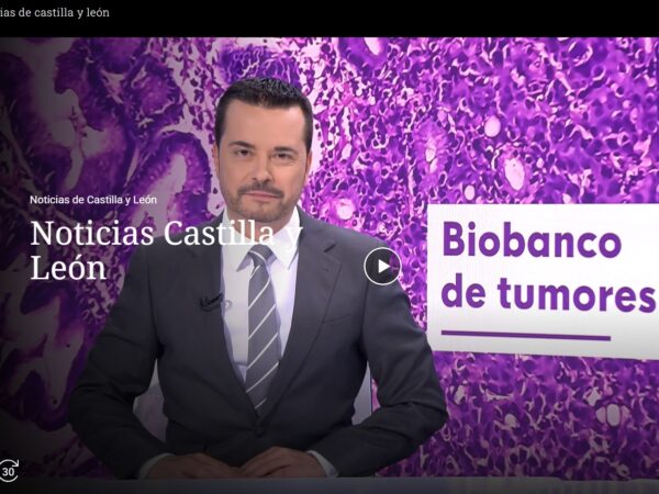 Se puede ver la noticia a partir del minuto 14:00 del video.