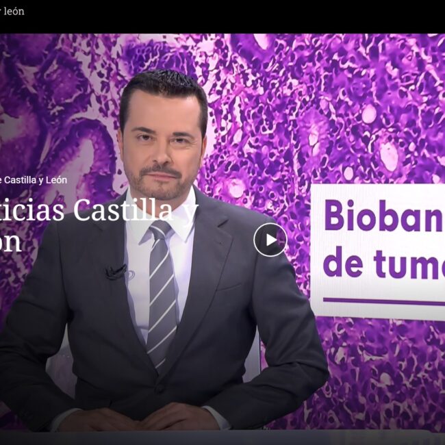 Se puede ver la noticia a partir del minuto 14:00 del video.